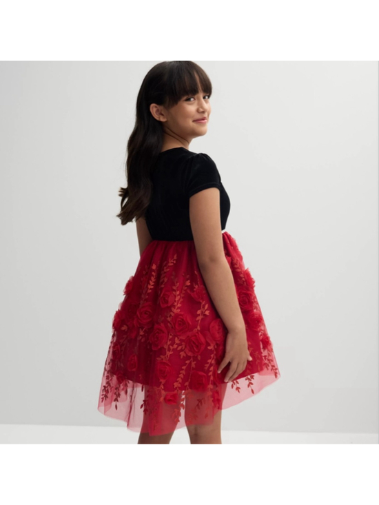 BLUEBERI boulevard Other - Blueberi Boulevard Black And Red Velvet And Tulle With 3d Roses Dress Size 14